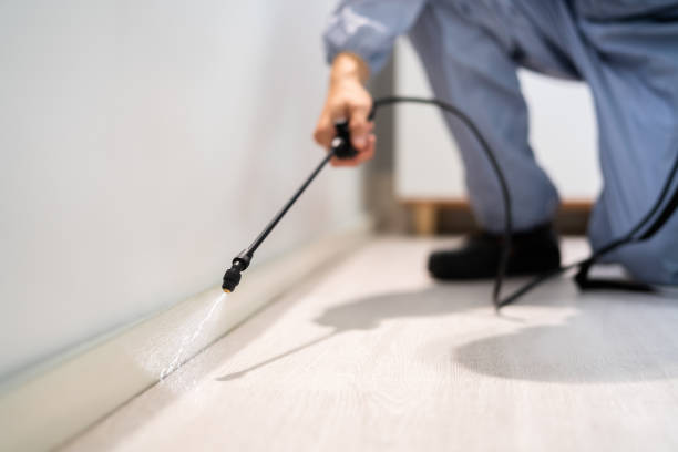 Licensed Pest Control service in Dunsmuir, CA - Nex Pest Control