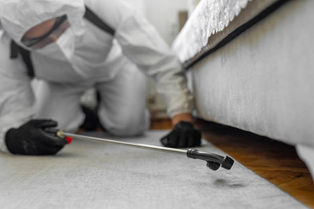 Professional Pest Control technician working in Dunsmuir, CA