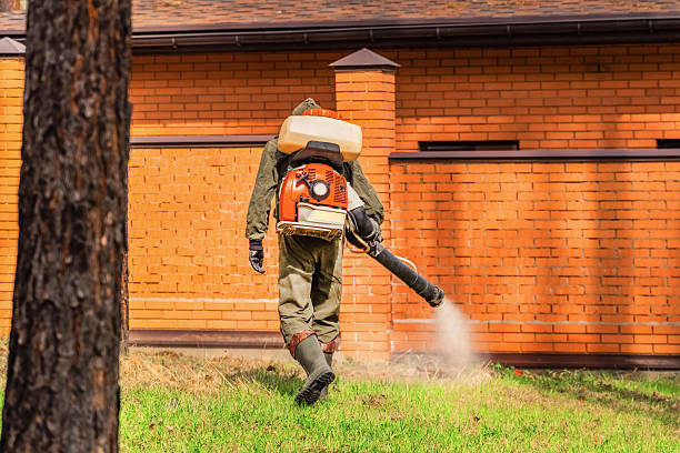 Trusted Rodent Control service in Dunsmuir, CA - Nex Pest Control